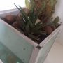 Acqua Garden (11)