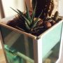 Acqua Garden (15)