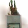 Acqua Garden (16)