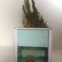 Acqua Garden (18)