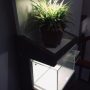 Acqua Garden (6)