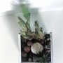 Acqua Garden (9)